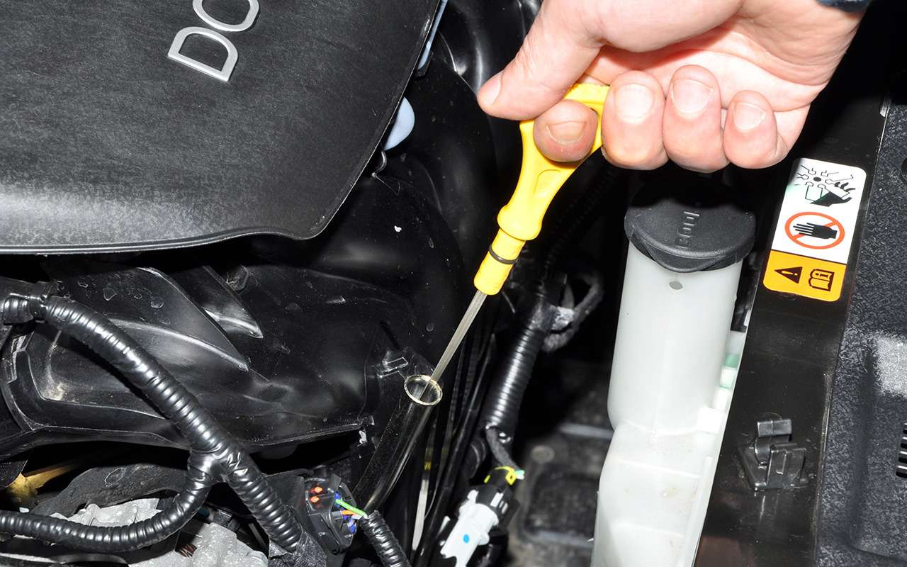 8 заблуждений про уровень масла. Есть опасные!