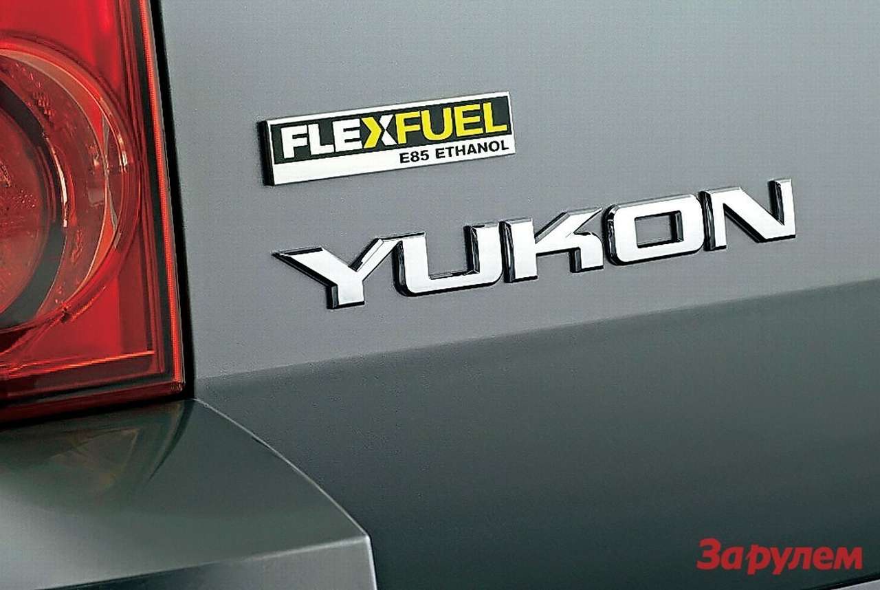 На рынке Бразилии, мирового лидера в использовании этанола (парк автомобилей flex-fuel превышает 14,5 млн. штук), представлено более 80 моделей разных мировых брендов. В США такие автомобили почти столь же популярны (около 10 млн. машин), что заставляет местную «большую тройку» тоже выпускать биомодификации.