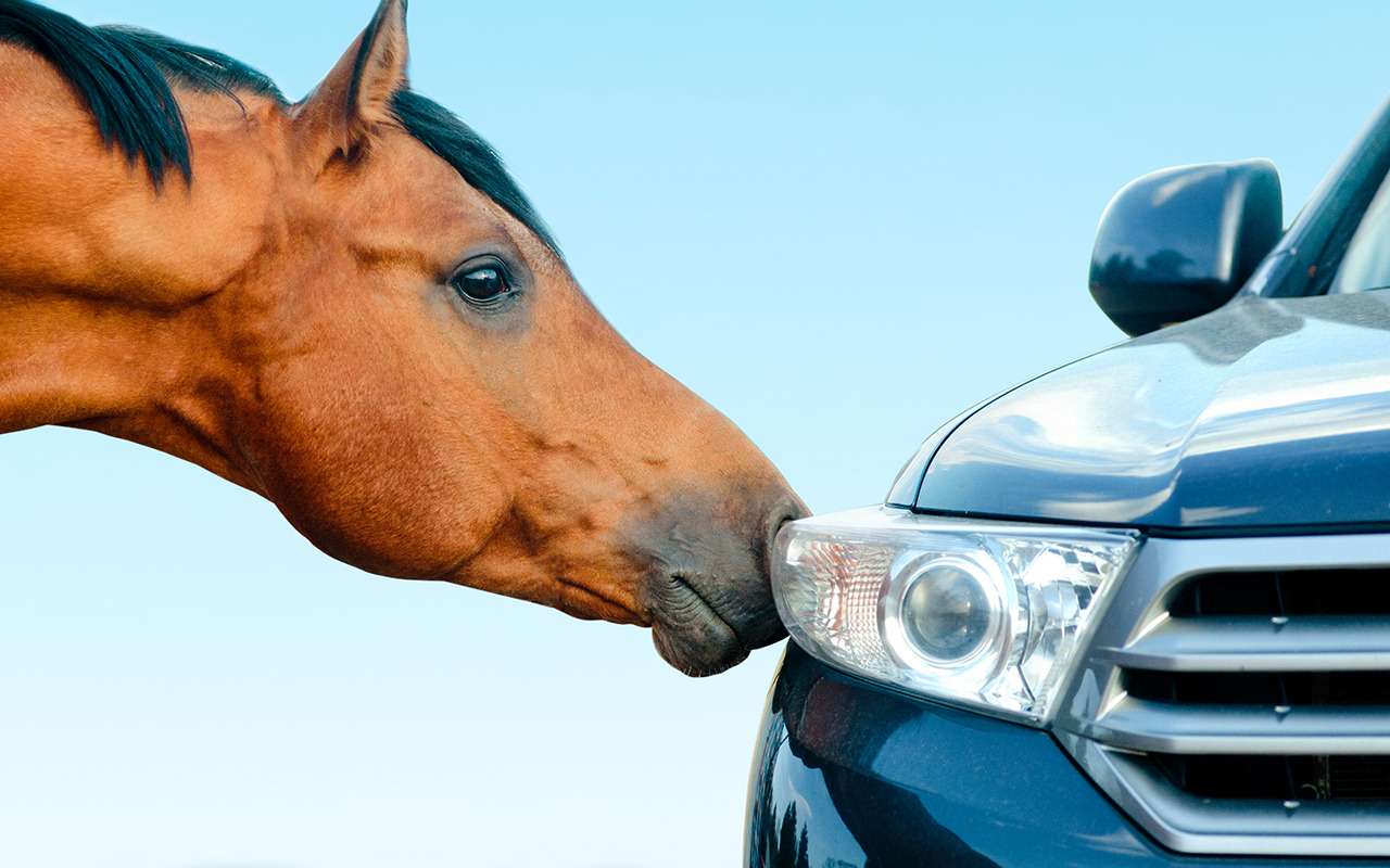 Турбомотор мощнее атмосферника того же объема, а расход ниже на 30%: да/нет?