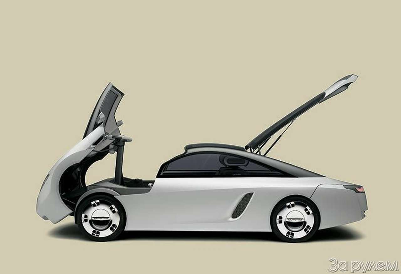 Тяни-толкай