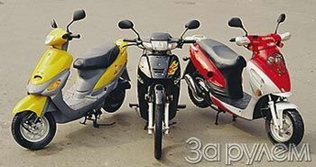 Reggy мчатся, reggy скачут...