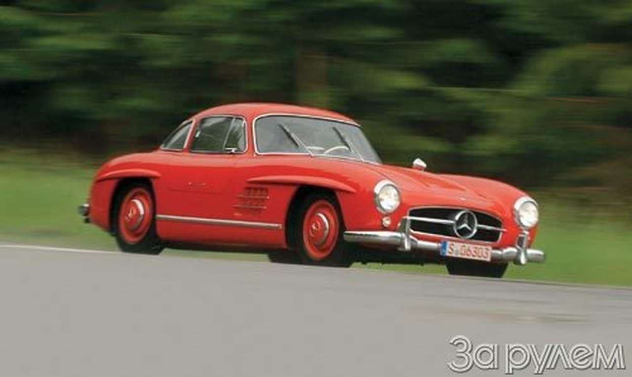 Не наша чайка