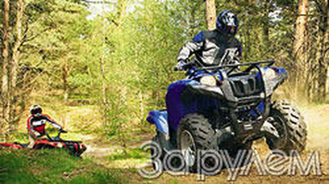 Его сильнейшество гризли iii