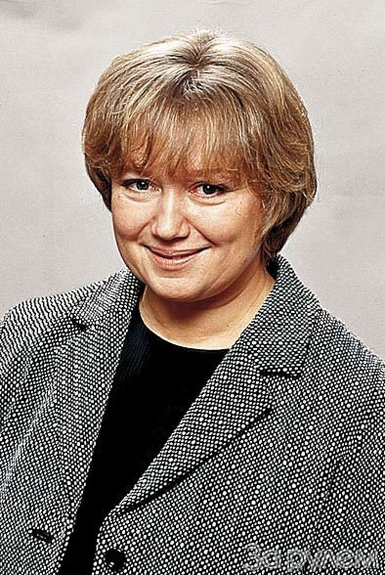 Компромисс породил химеру