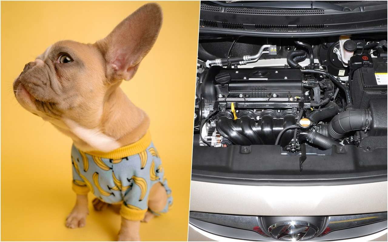 Что-то не так! Прислушиваемся к работе мотора