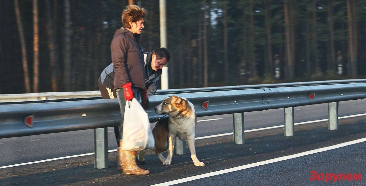 Пешеходам закрутят гайки