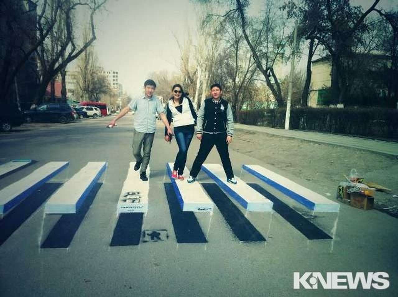 Студентка из Киргизии создала парящую «зебру» 