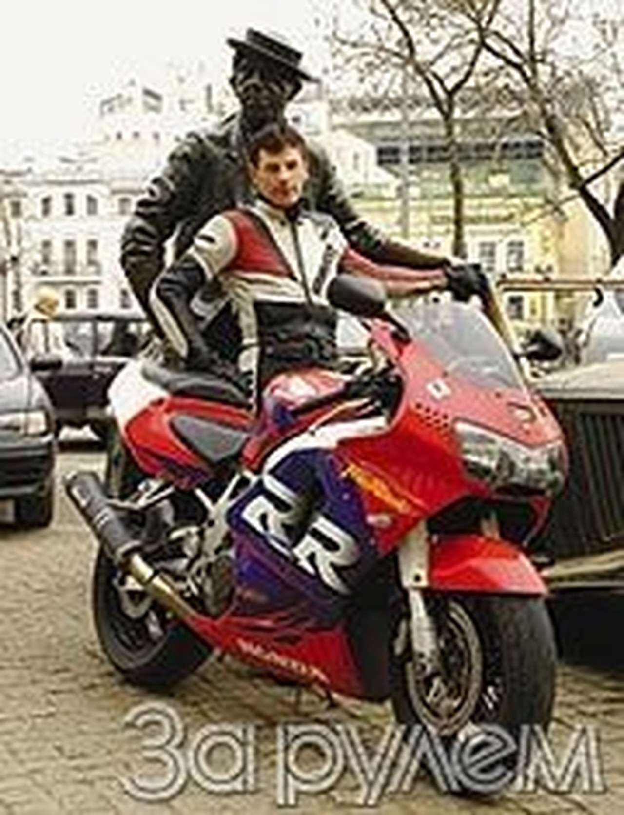 Миграция лиса