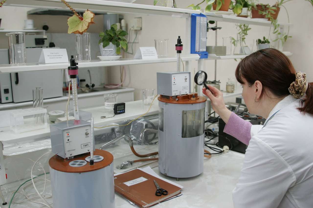 «Все присадки – немножко алхимия»: на чем зарабатывают топливные компании