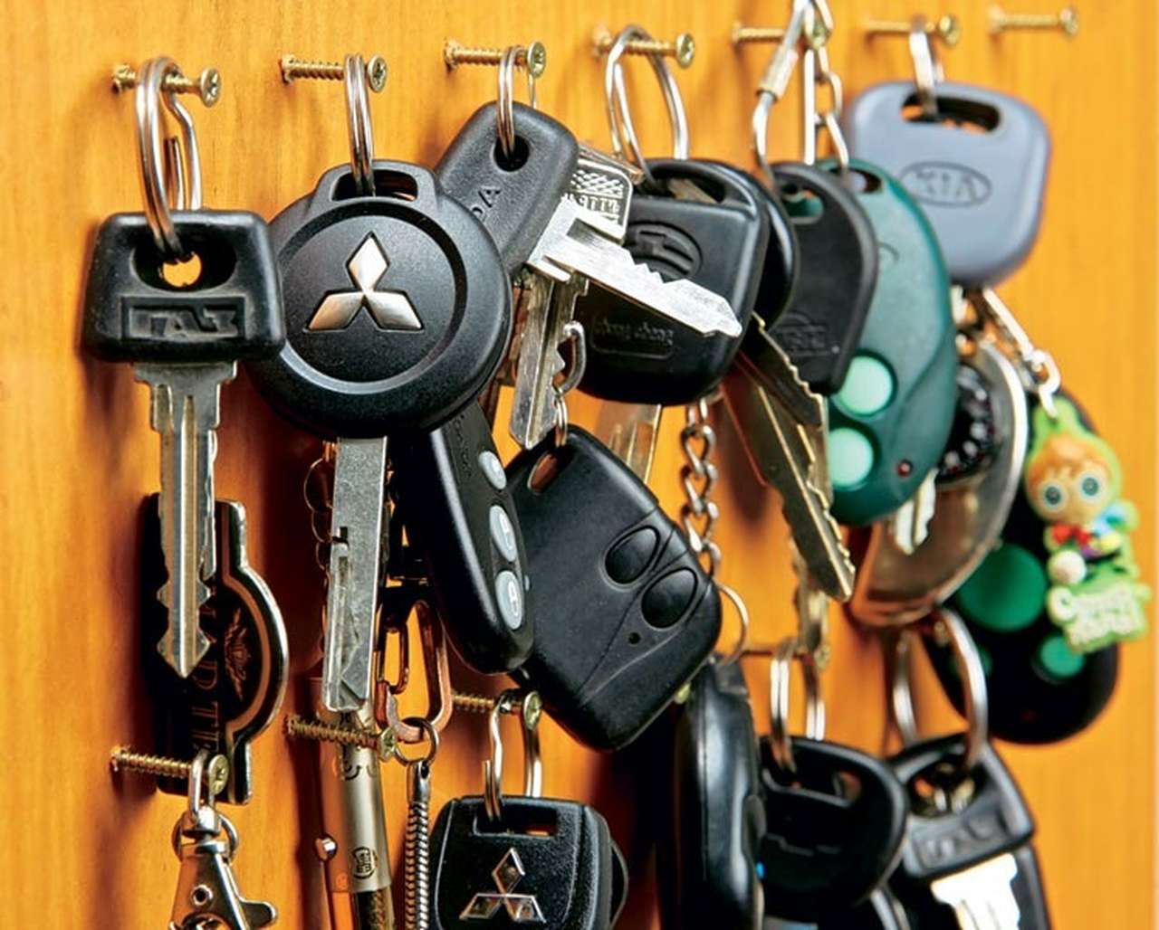 География с историей