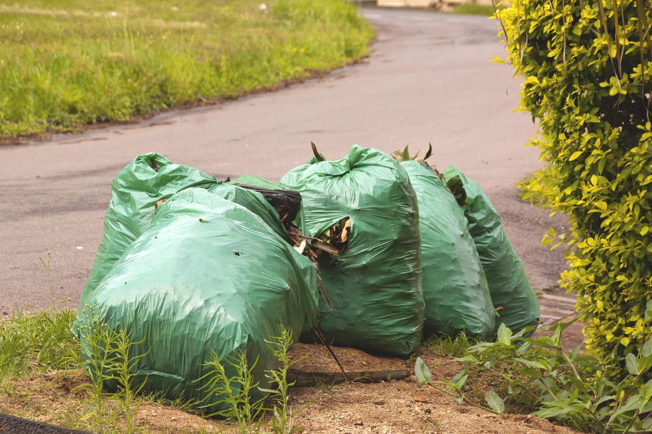 Камеры будут штрафовать за мусор на обочинах