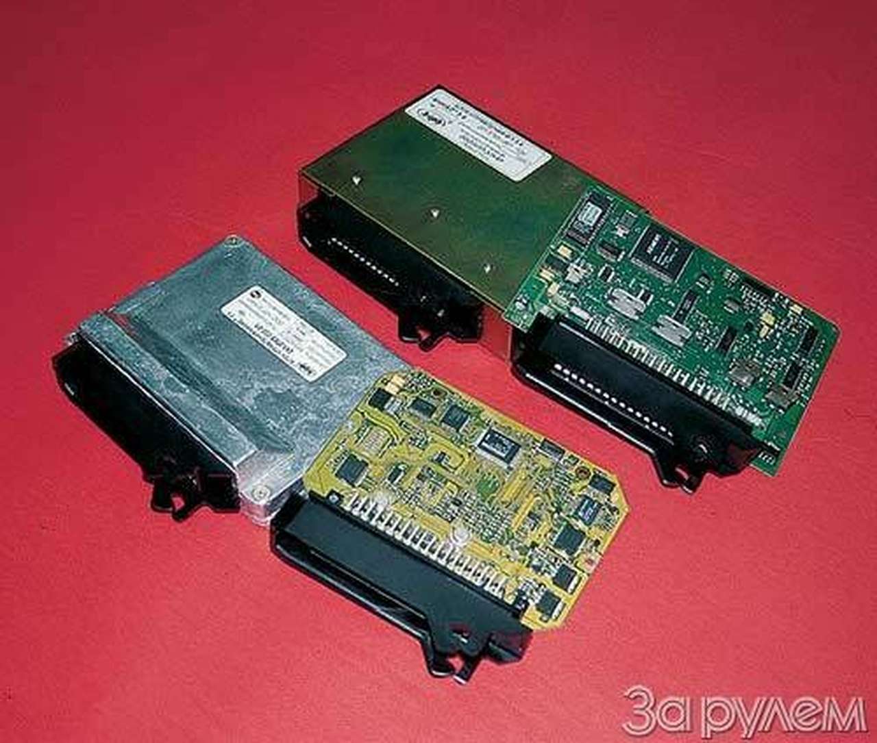 Пересадка интелекта