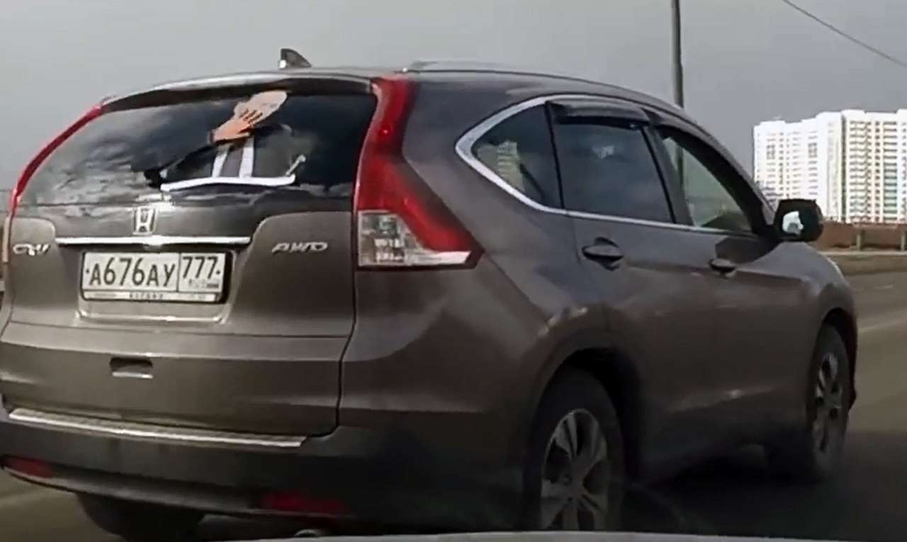 Путин выглянул неожиданно (ВИДЕО)