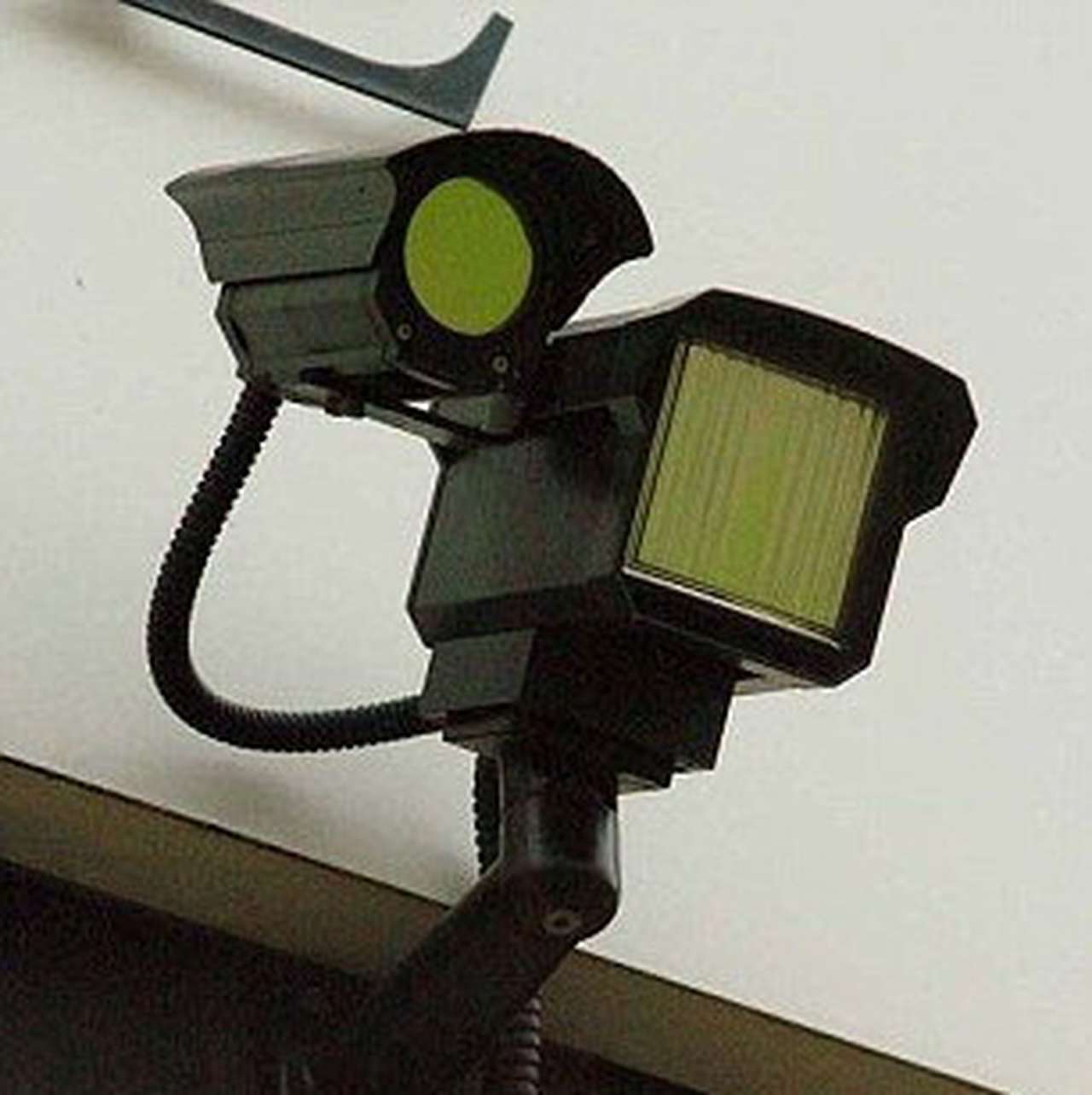 Фото: Daily Mail