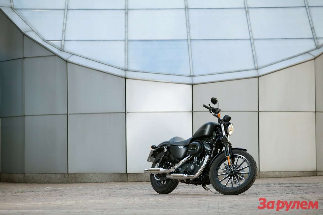 Биплан: Harley Davidson XL883N Sportster Iron 883