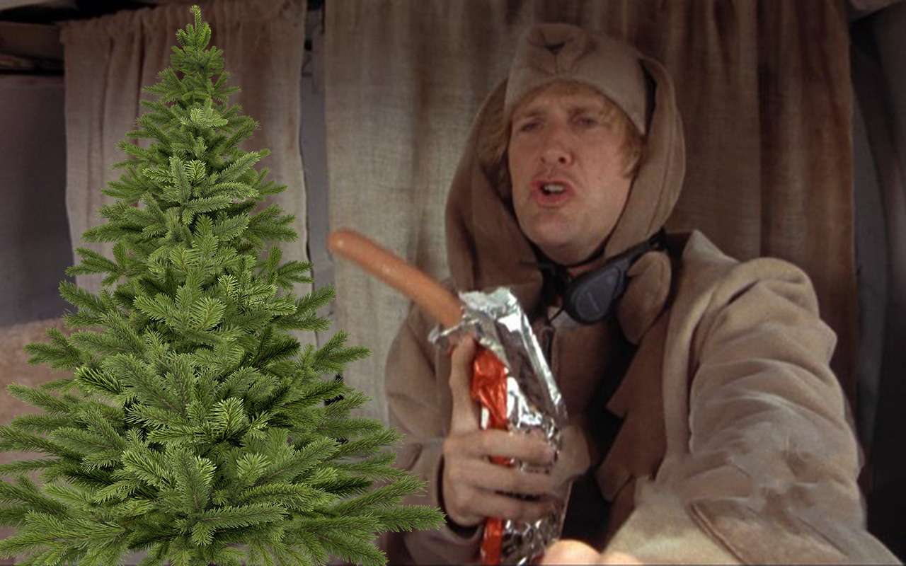 Воры в костюмах собак крадут елки из парка - вот это сюжет!