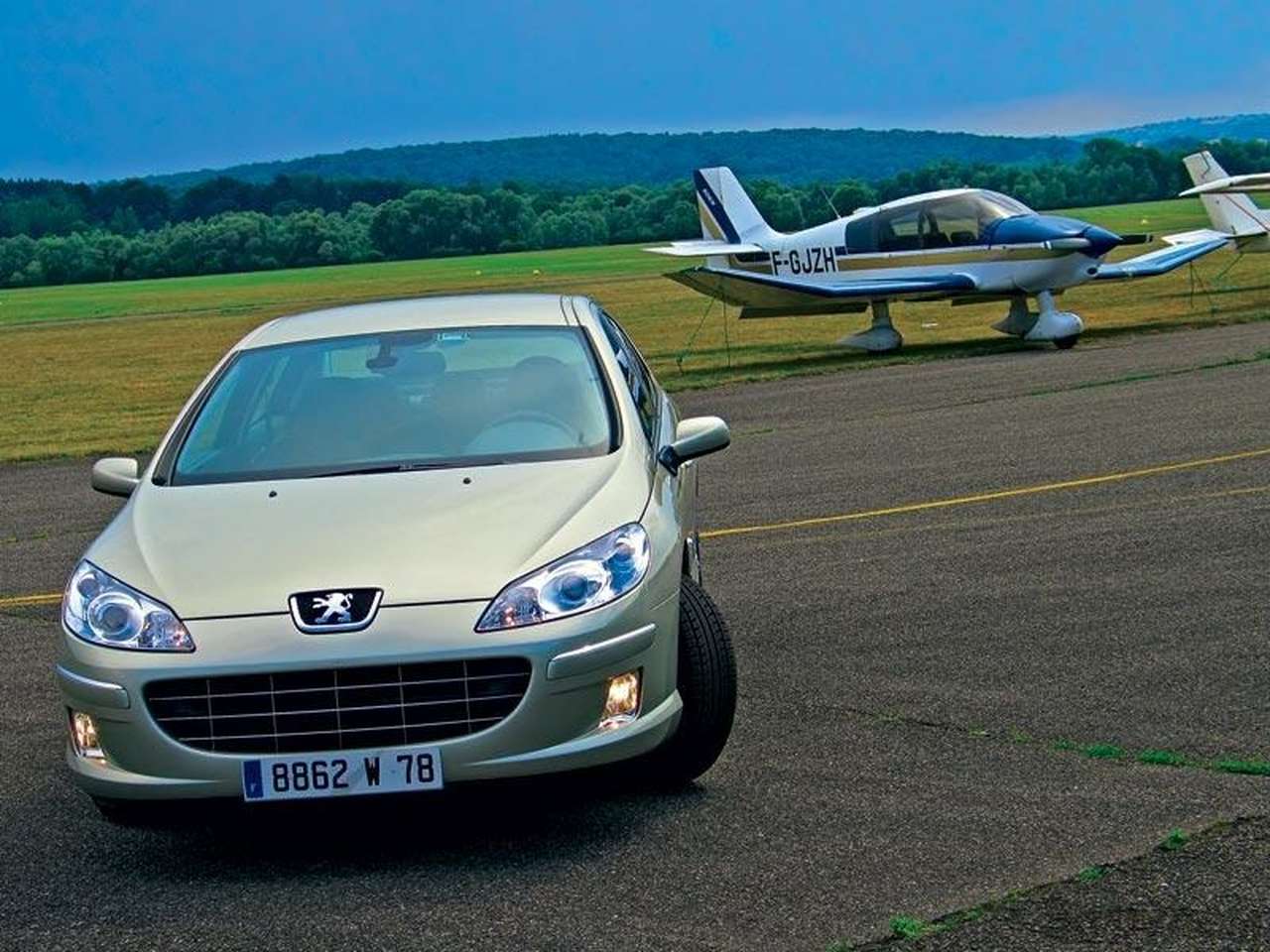 Львы умеют экономить