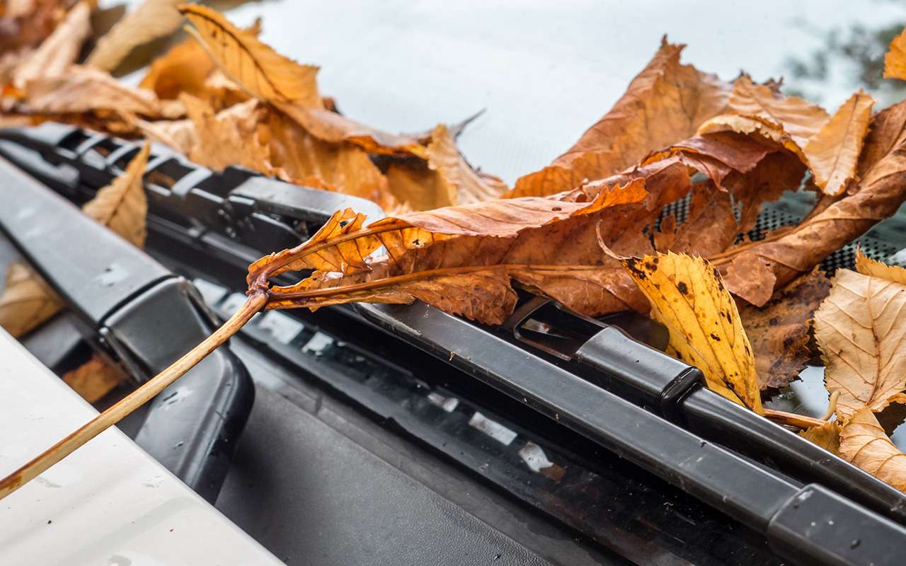 6 надежных способов испортить дворники