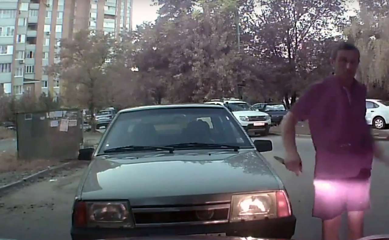 Водитель-агрессор дает мастер-класс «братьям по разуму» (ВИДЕО)