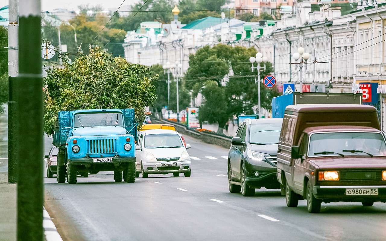 Названы города, где живут самые аккуратные водители