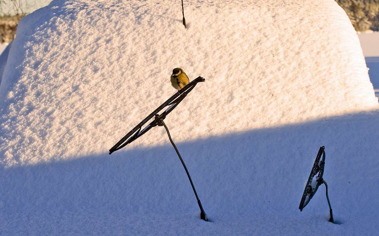 Щетки стеклоочистителя — какие выбрать?