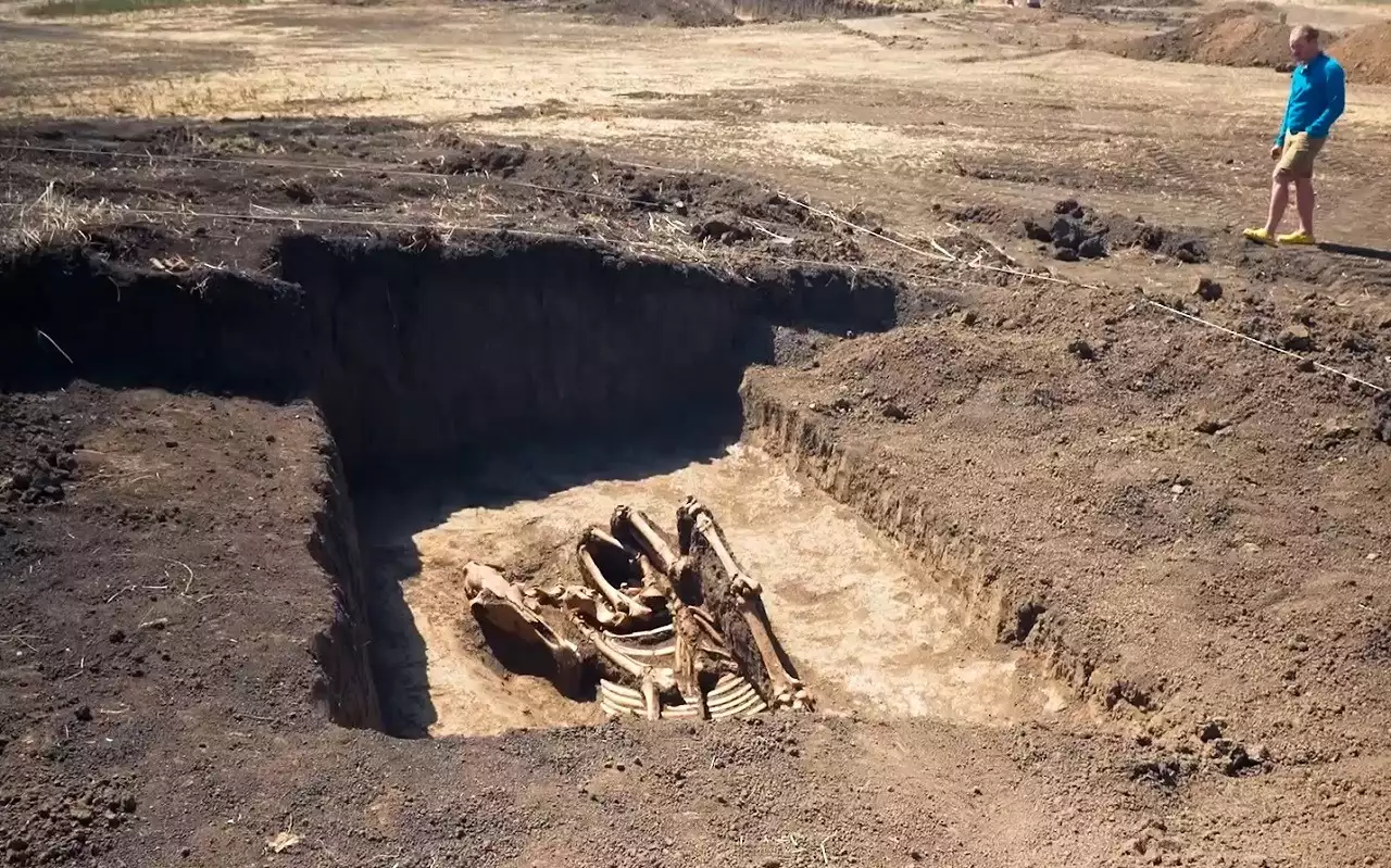 На трассе М-4 нашли скелеты (видео)