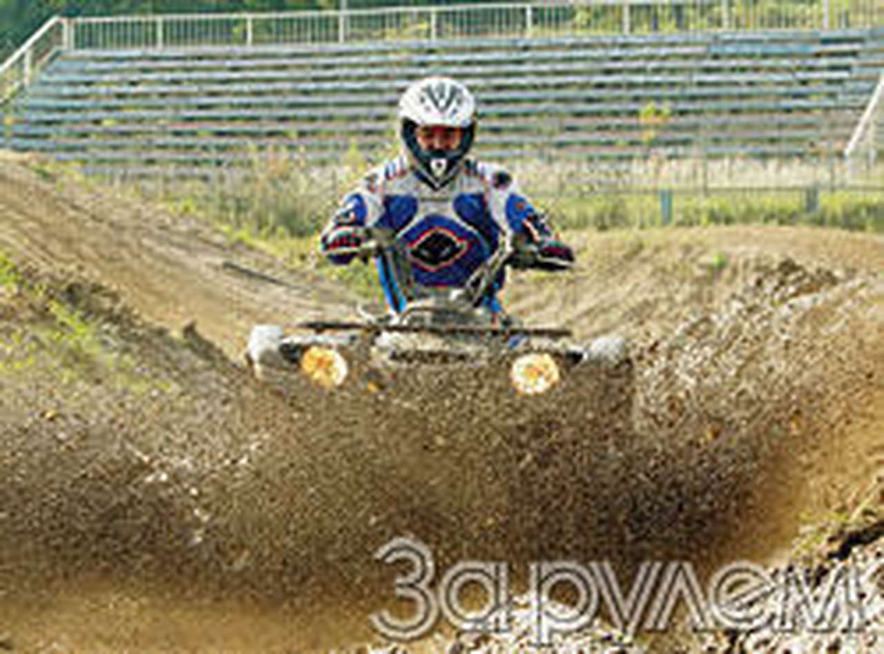 Окреп мишка, возмужал