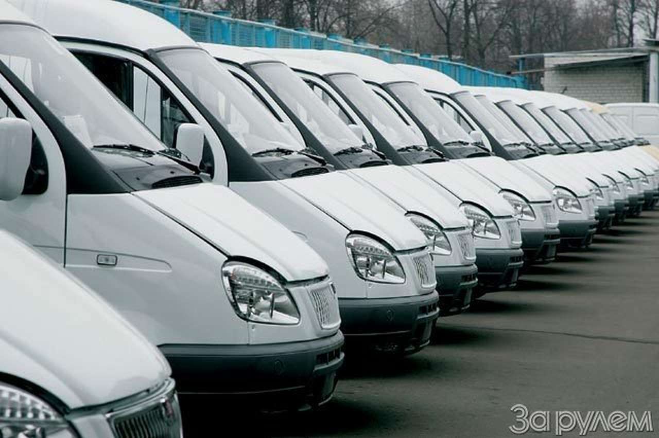 «неси меня, олень»?..