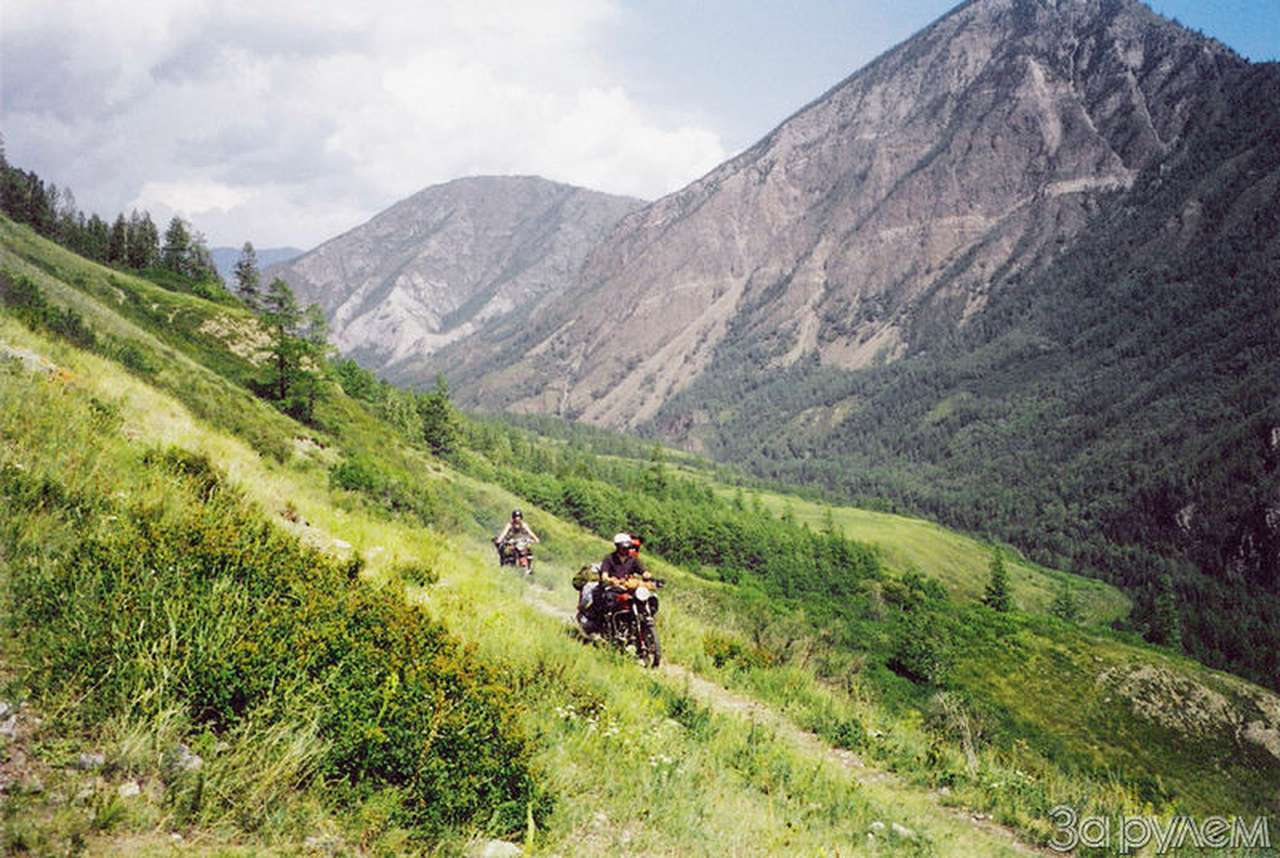 Триллер оголодавшего