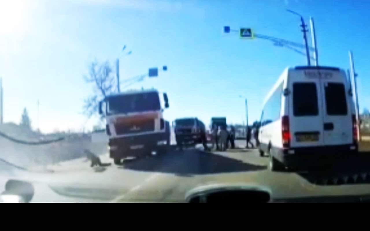 В «рубашке» родился: чудесное спасение от летящего МАЗа