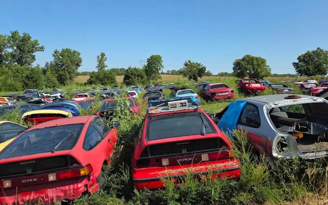 Более 200 раритетных Honda стоят в открытом поле, но они не бесхозные