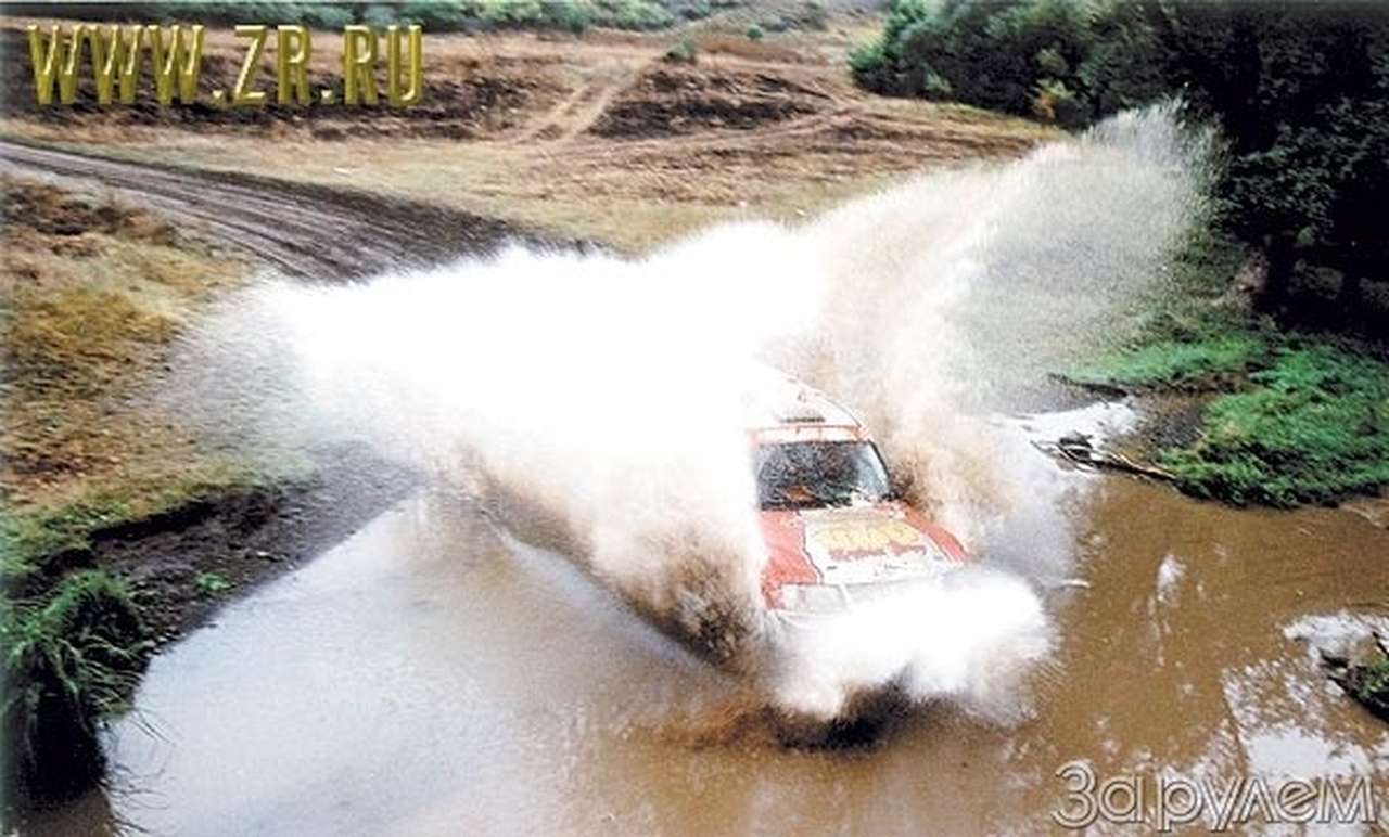 Новички в пустыне