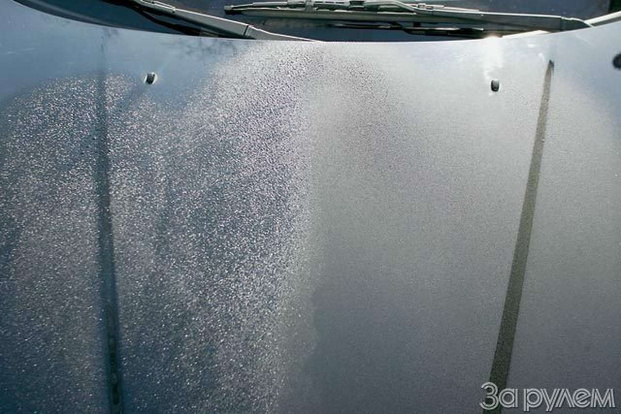 Питерские дорожники разом перекрасили целый парк автомобилей