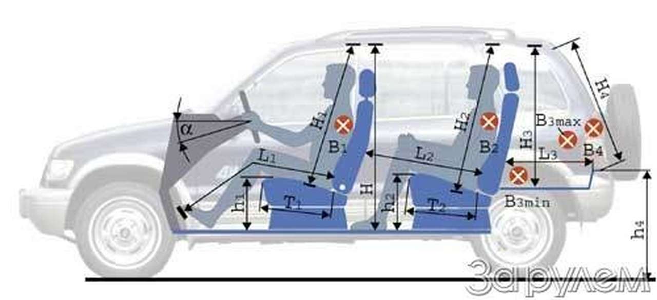 Братья по приводу
