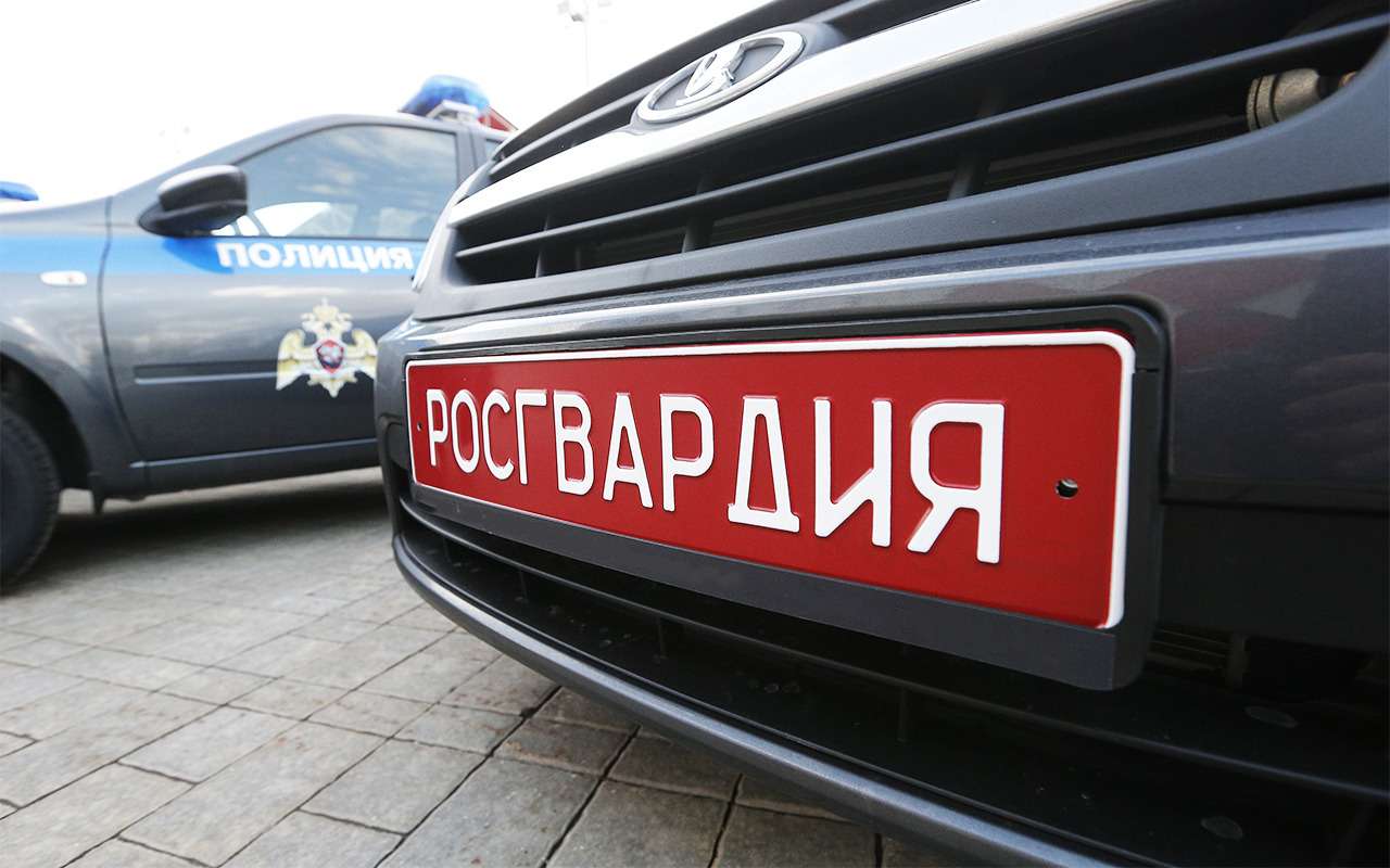 Наказаны сотрудники Росгвардии, скрутившие водителя на парковке отеля