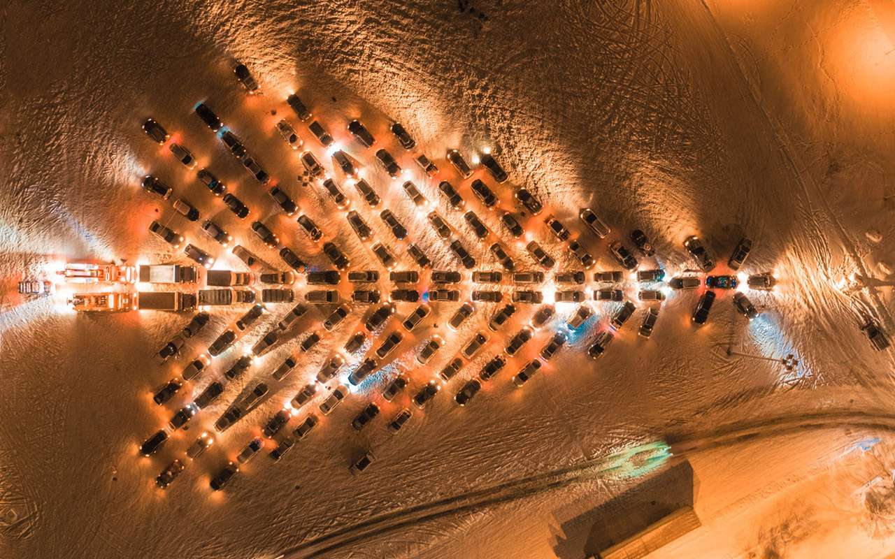 Три белых коня против упряжки оленей – на чем ездить в Новый год?