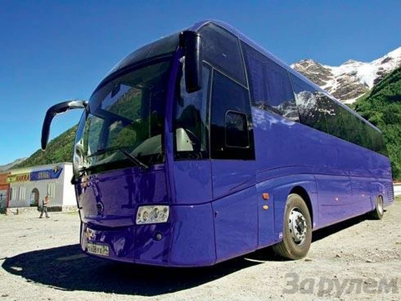 Выпуклым округлым лбом «Дельфин» действительно напоминает дружелюбное морское млекопитающее.