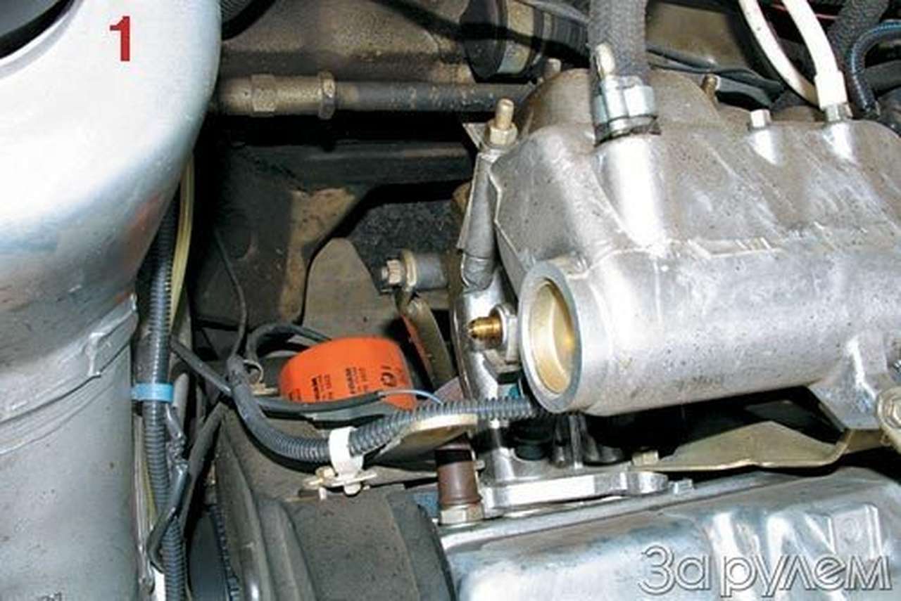 На голодном пайке