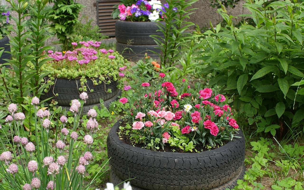 Эксперт рассказал, почему вредно делать клумбы из старых шин