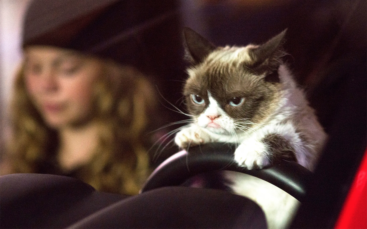 На холодильнике тренируйся! Почему водителей так возмущает сильное хлопанье дверью