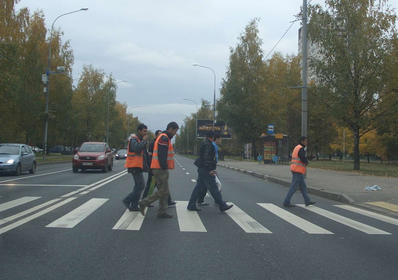 ГИБДД предлагает сделать «зебру» разноцветной