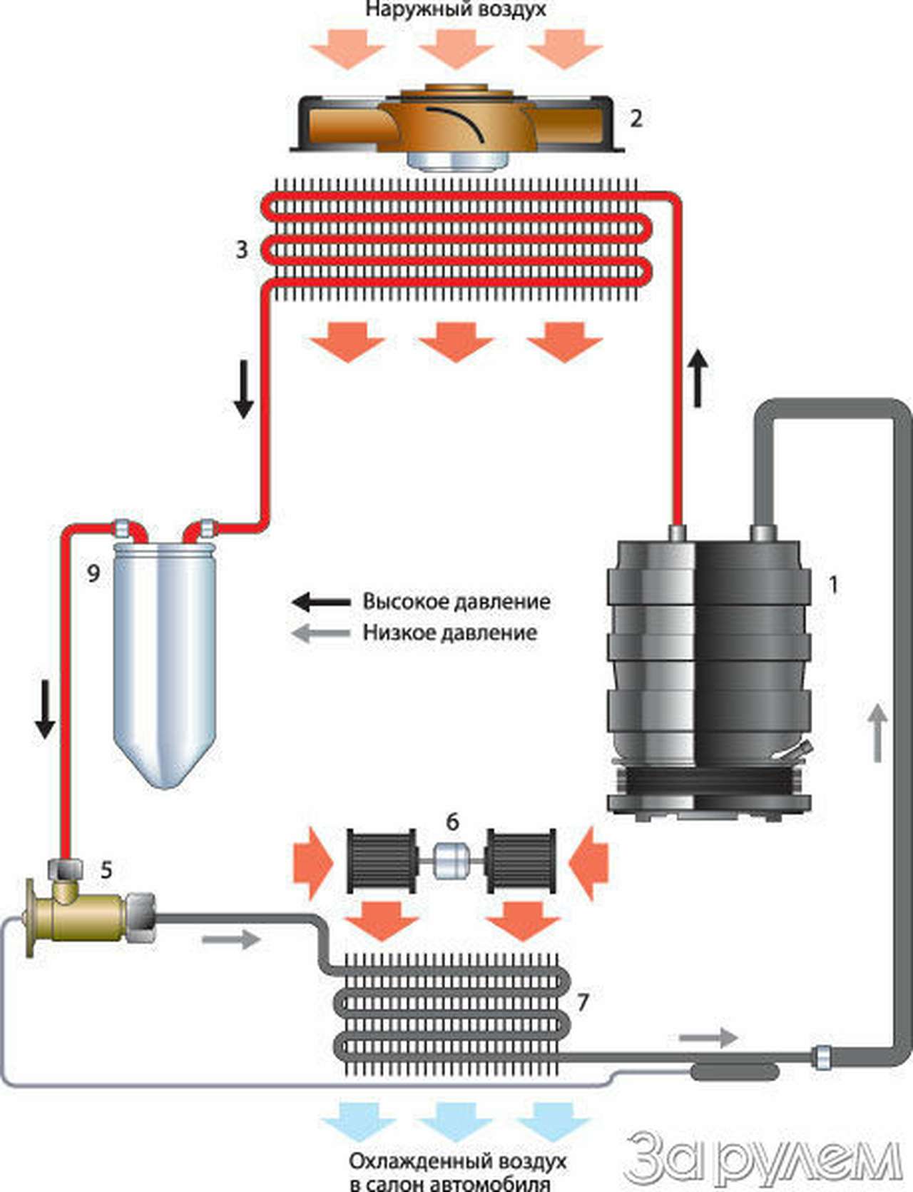 С прохладцей