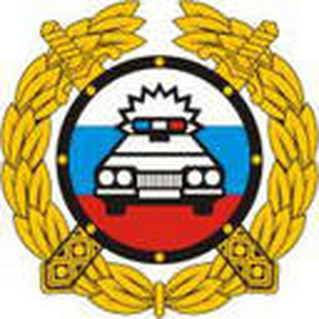 Квитанции для оплаты штрафов выложили в интернет