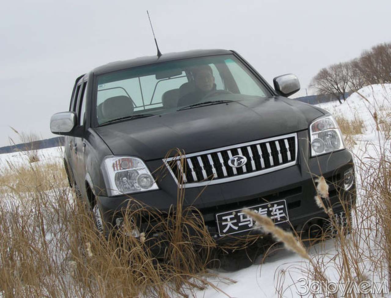 Tianma Fengling. «Темная лошадка»