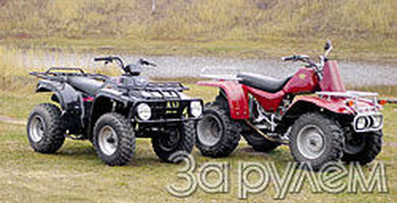 Китайские "ковры"