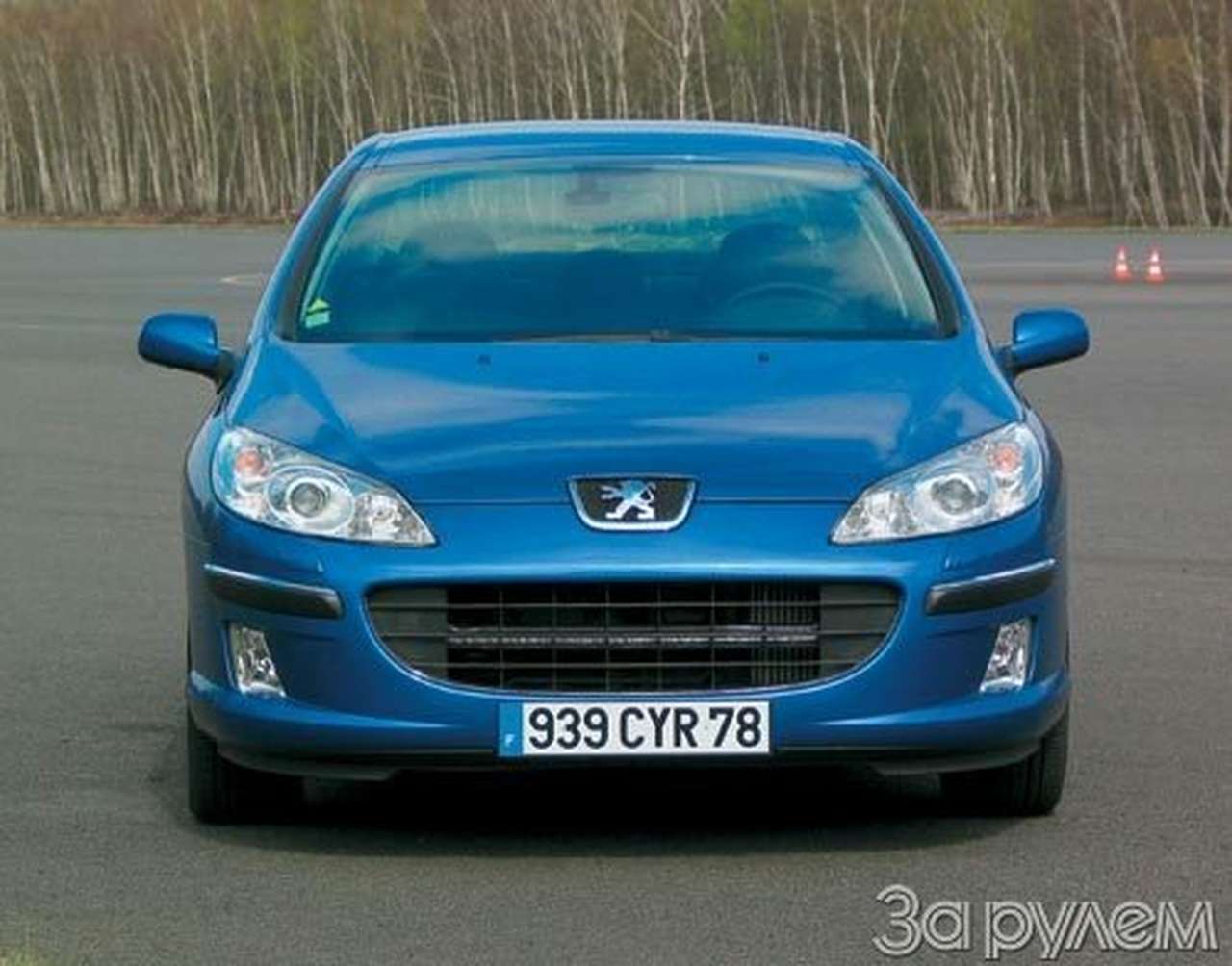 Семьянин в львиной шкуре