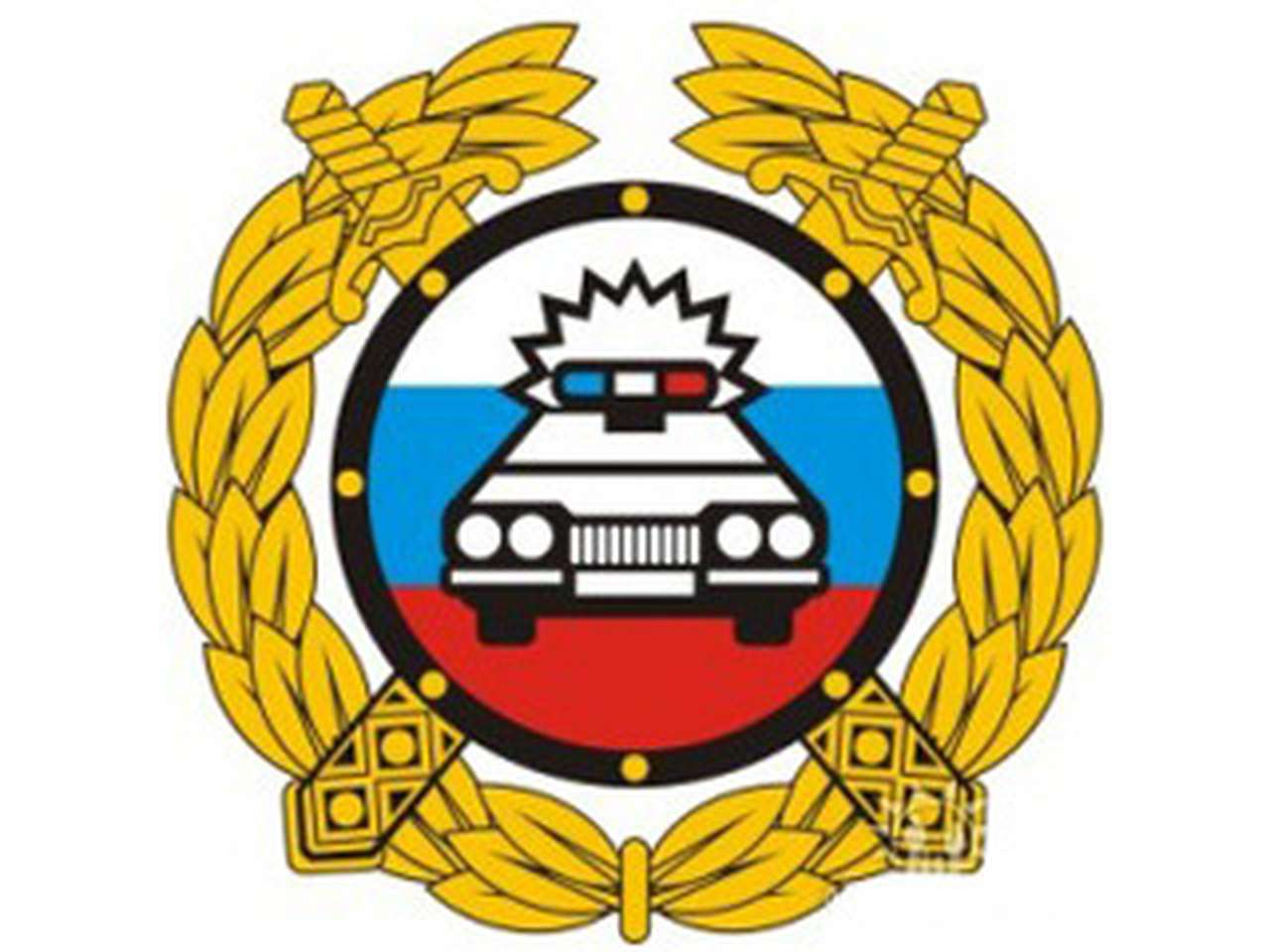 Изменения в Положение о ПТС вступают в силу