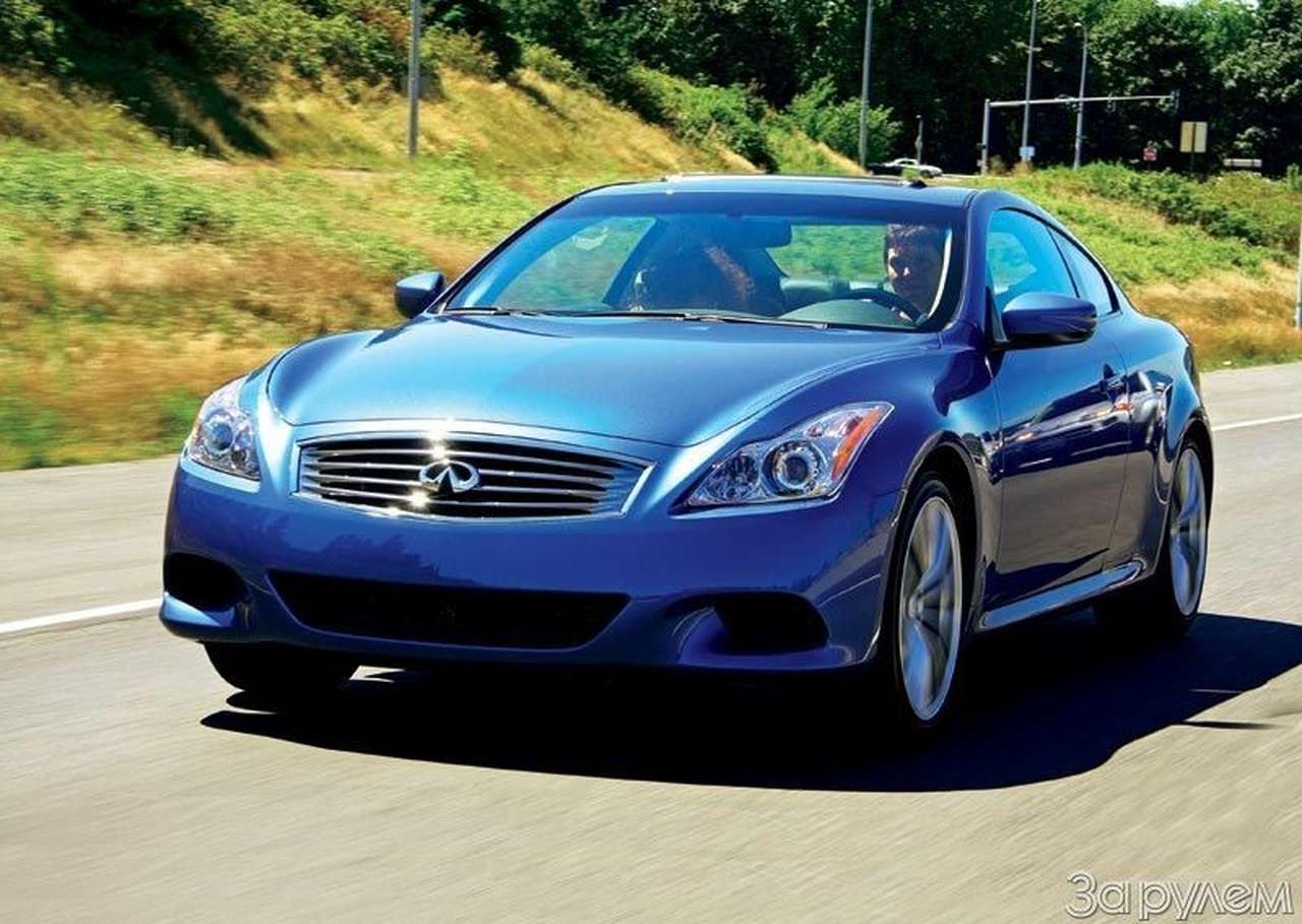 Элитная порода