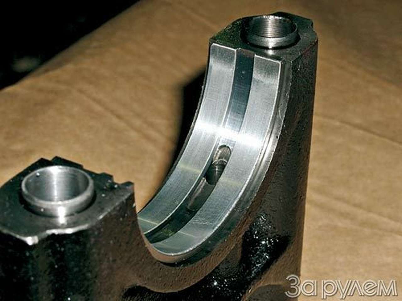 В жертву науке