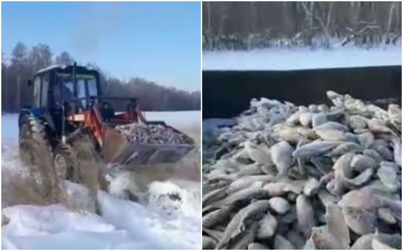 Зимняя рыбалка началась: улов пришлось грузить ковшами